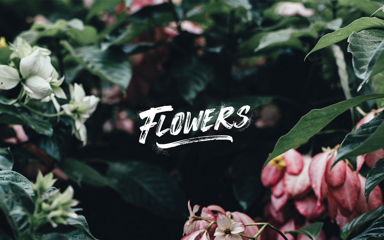 flowers