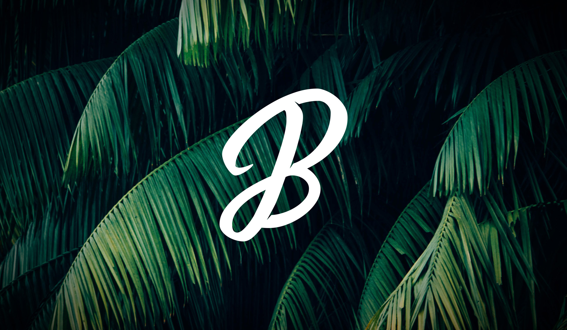 Lettering Rebrand